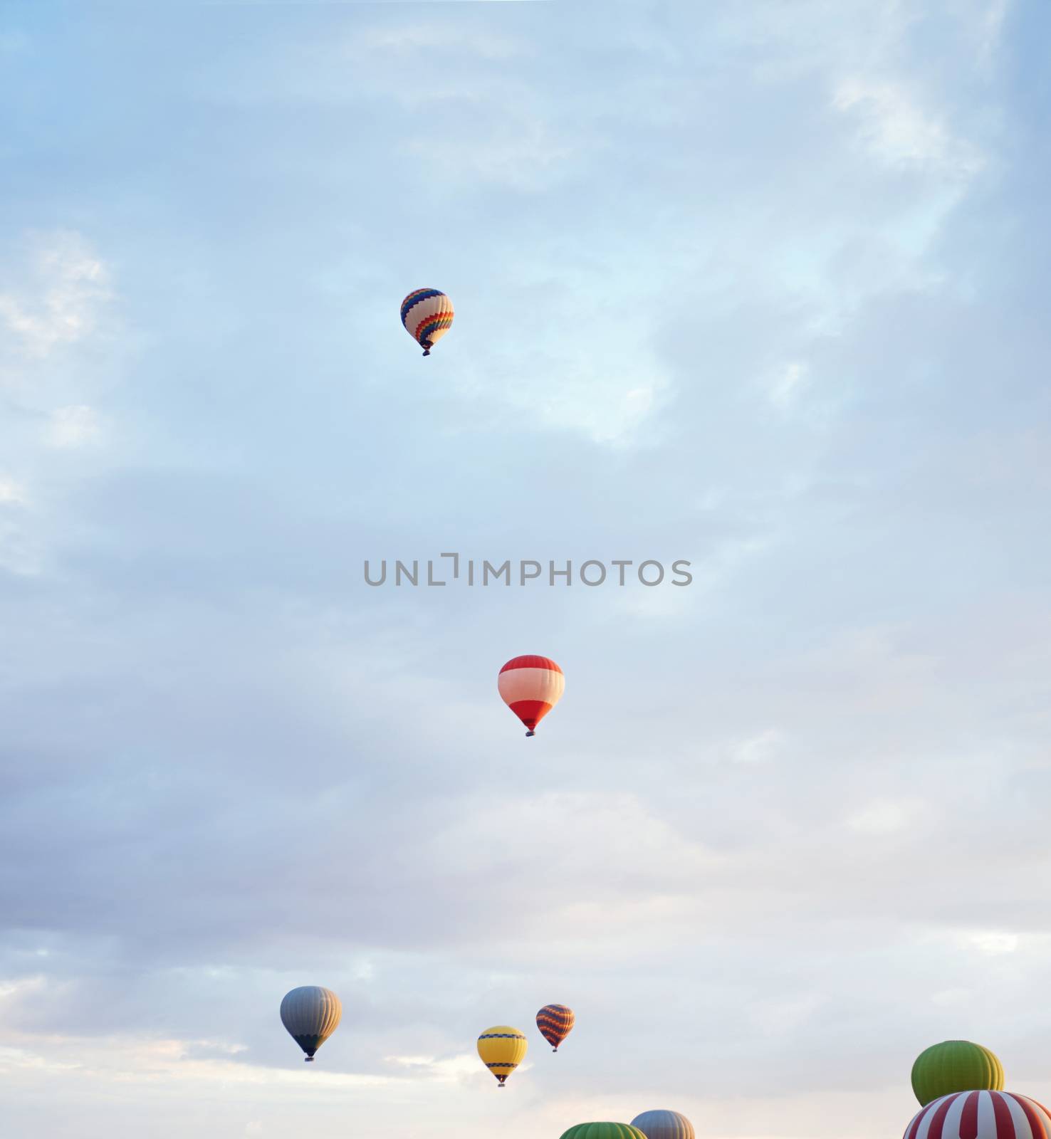 Group of air balloons flying in the sky by Novic