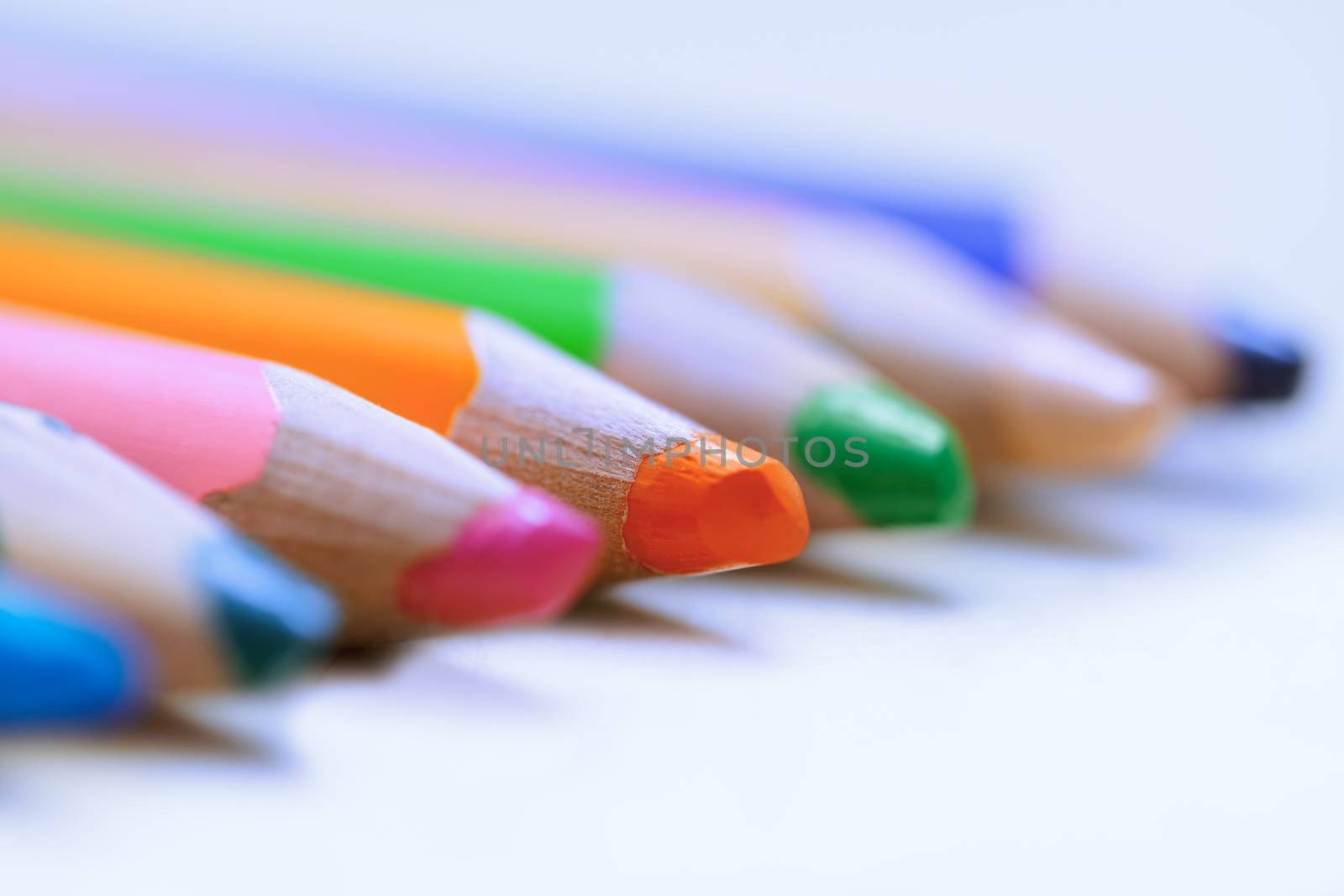 Colorful pencils in a row. Close-up