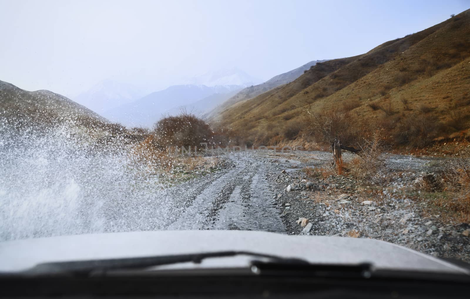 Road trip through the nature of Europe. Car point of view