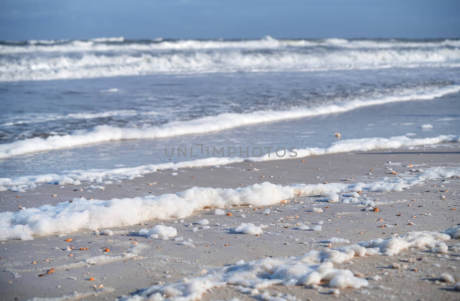 Coast of the Pacific Ocean with rare seashells and sea foam