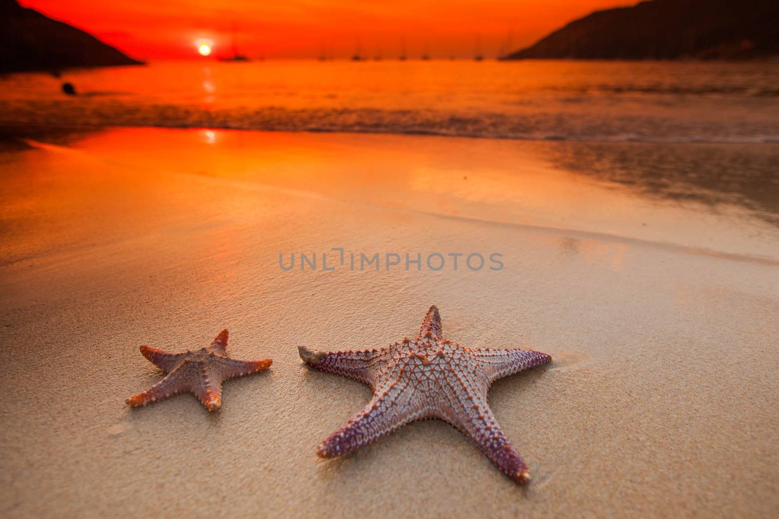 Tropical beach with two starfish in white sand and beautiful sunset on background
