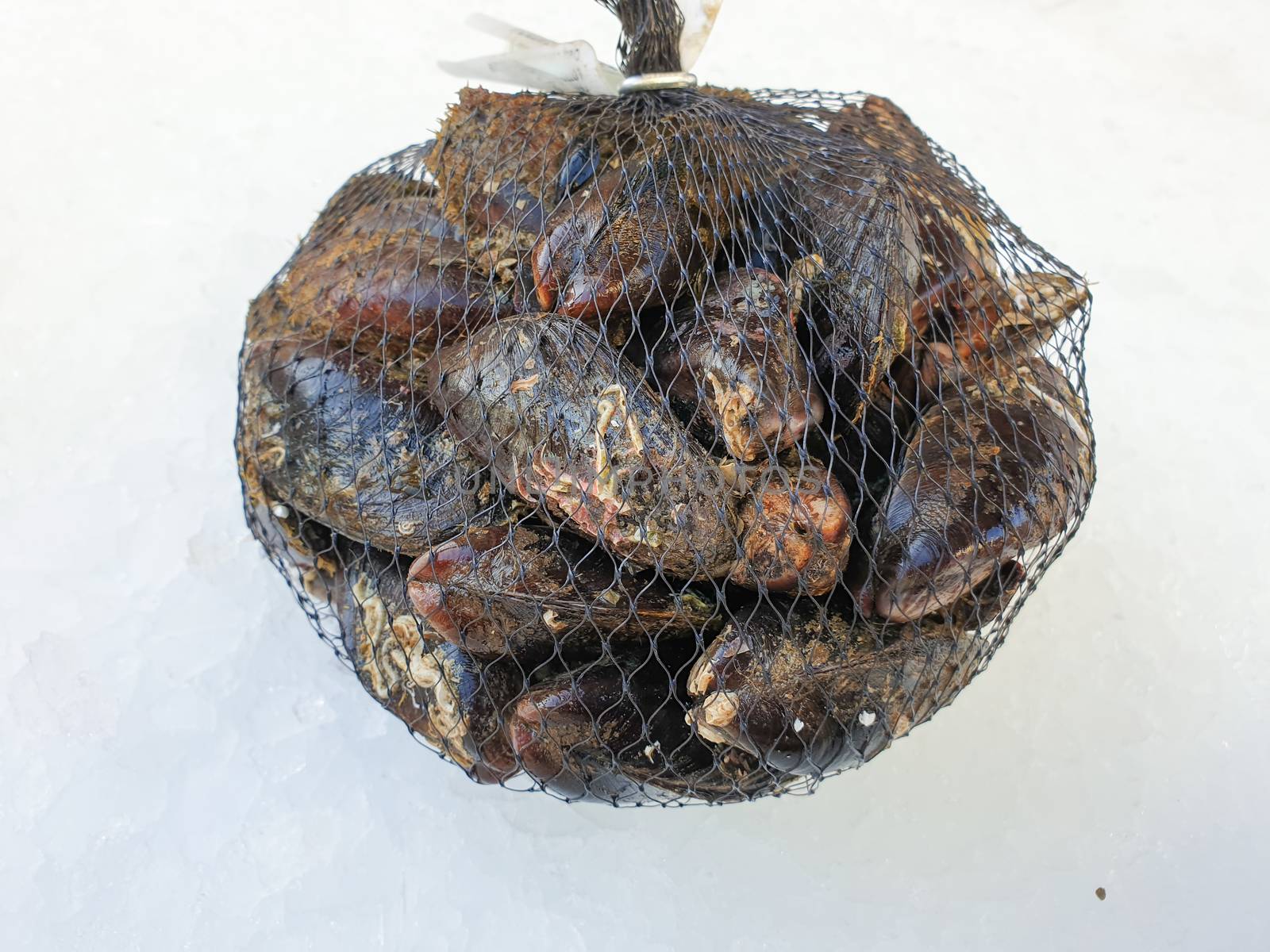 fresh raw mussel in the bag on the ice,close up.