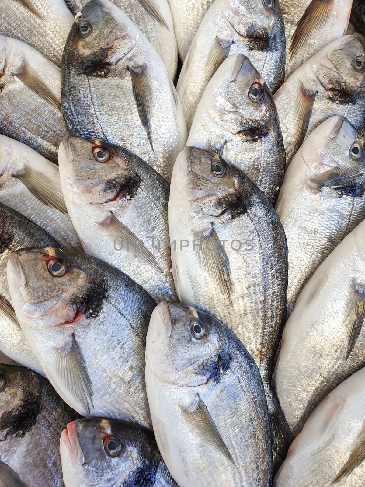 Many bream fish on ice for sale, Fish local market stall with fresh seafood,view from top.