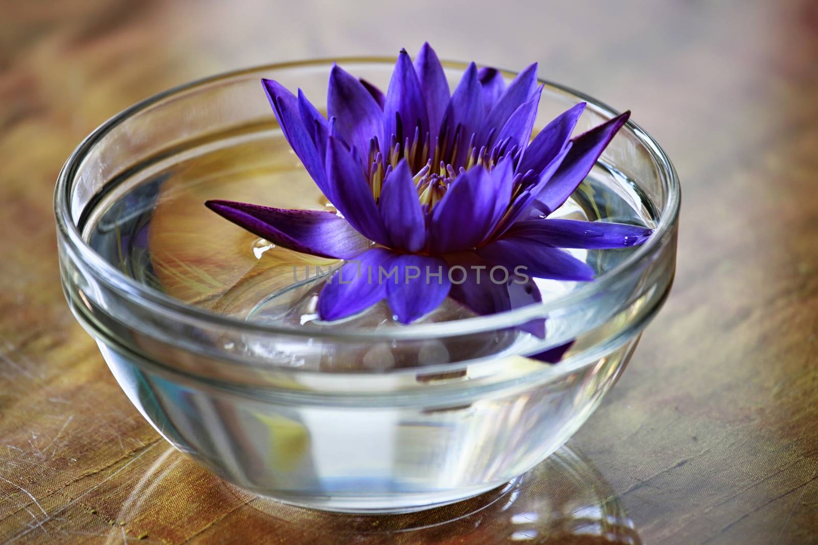 Lotus flowers in a glass of water used to decorate the table by friday