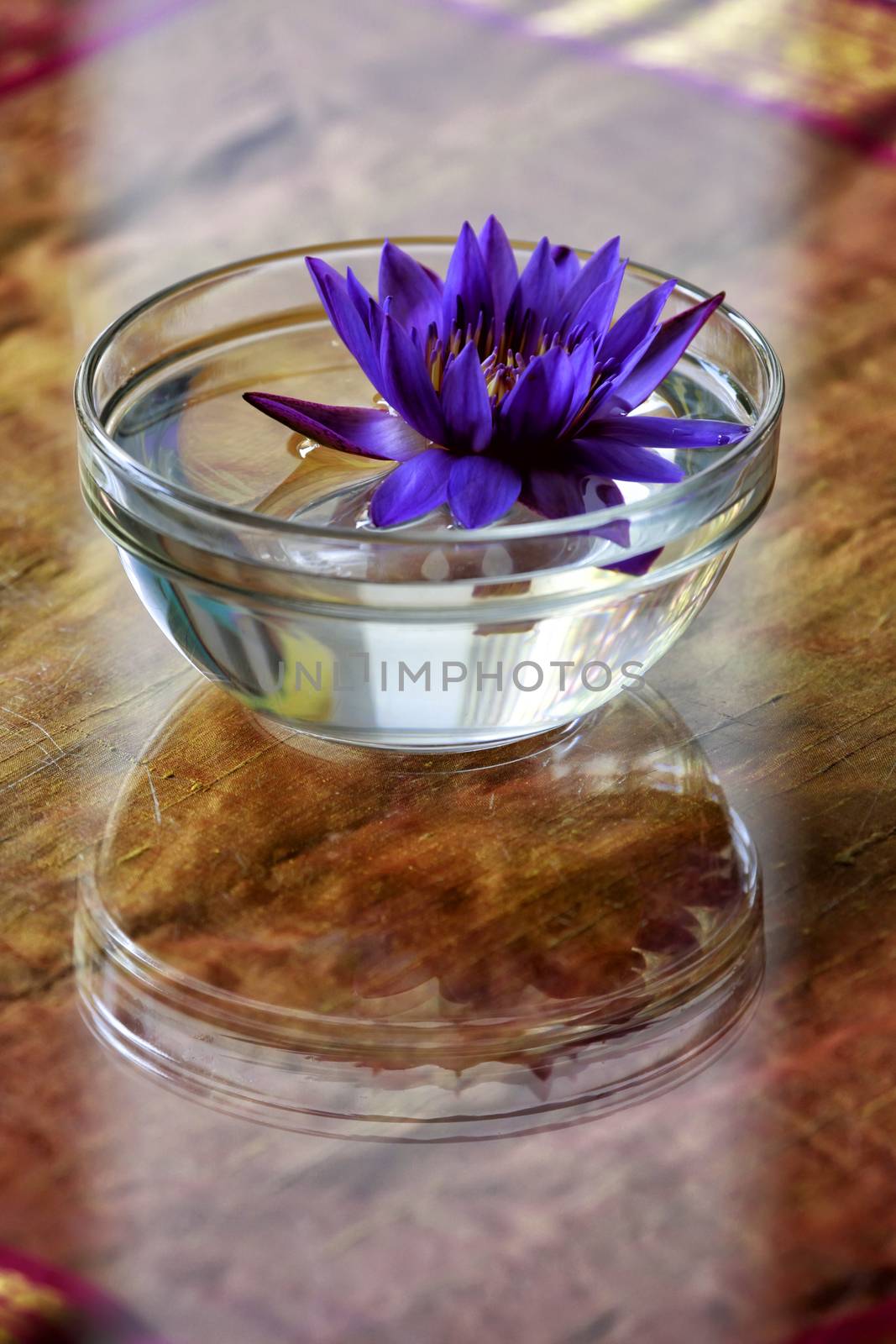 Lotus flowers in a glass of water used to decorate the table