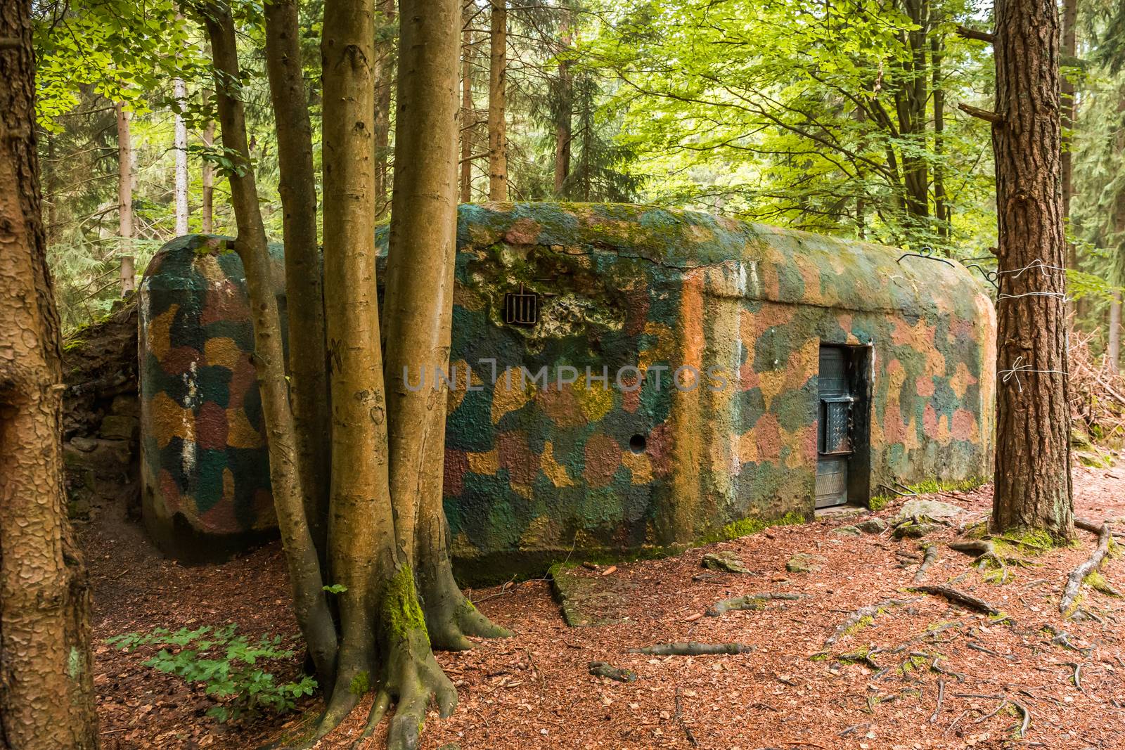 Camouflaged bunker WWII in the dark forrest by petrsvoboda91