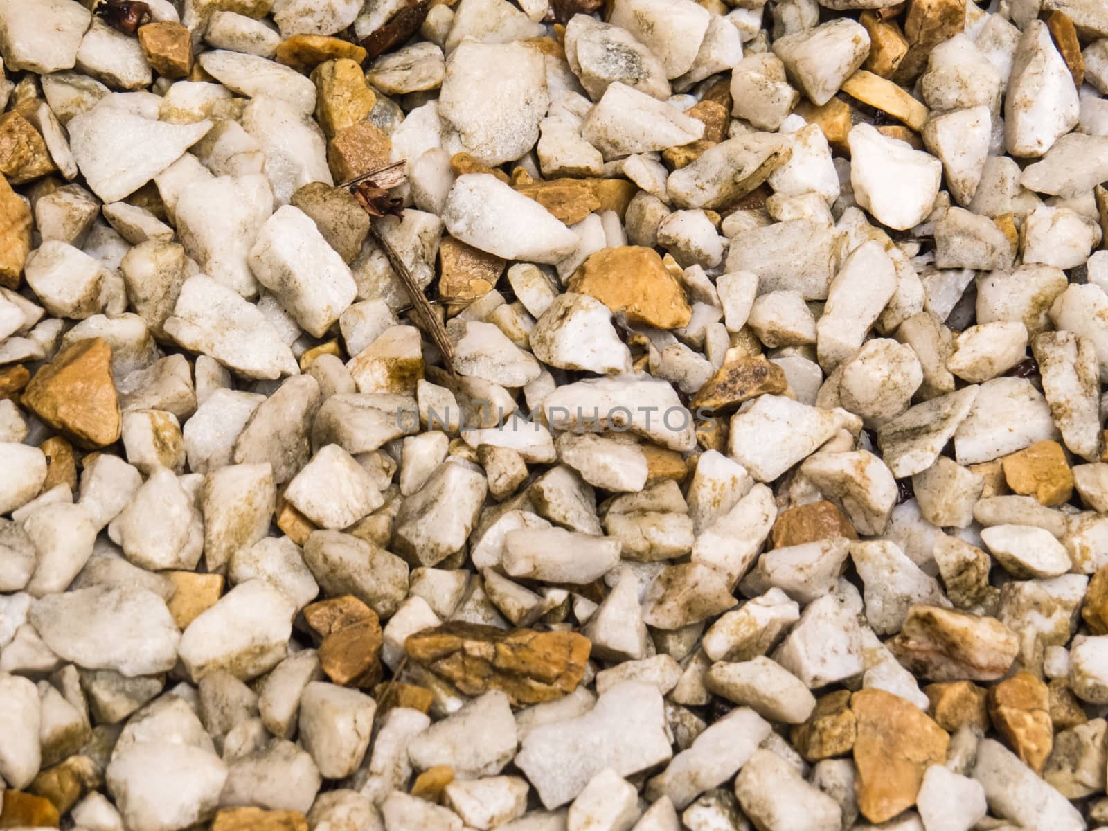 Close up view Background of white pebbles, and light brown, wet after summer rain