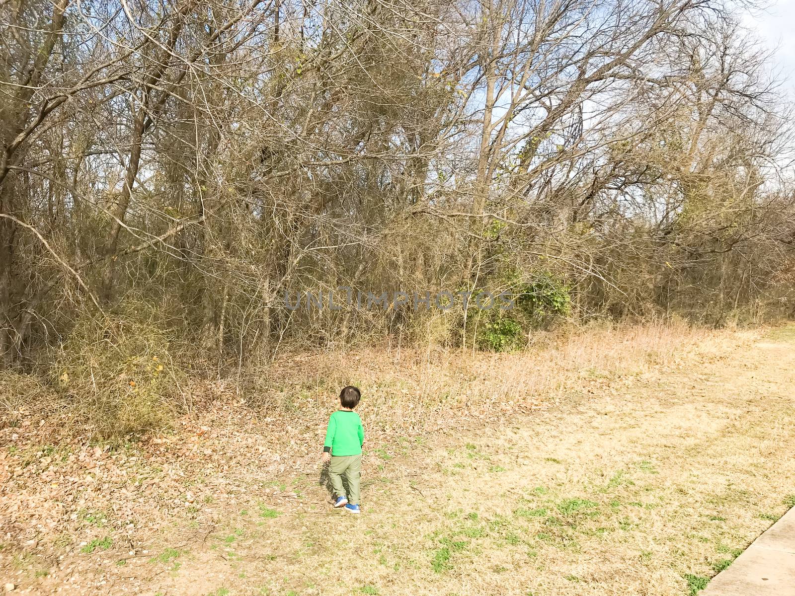 Rear view of Asian toddler boy walking near natural trail outside of Dallas, Texas, USA in sunny winter day
