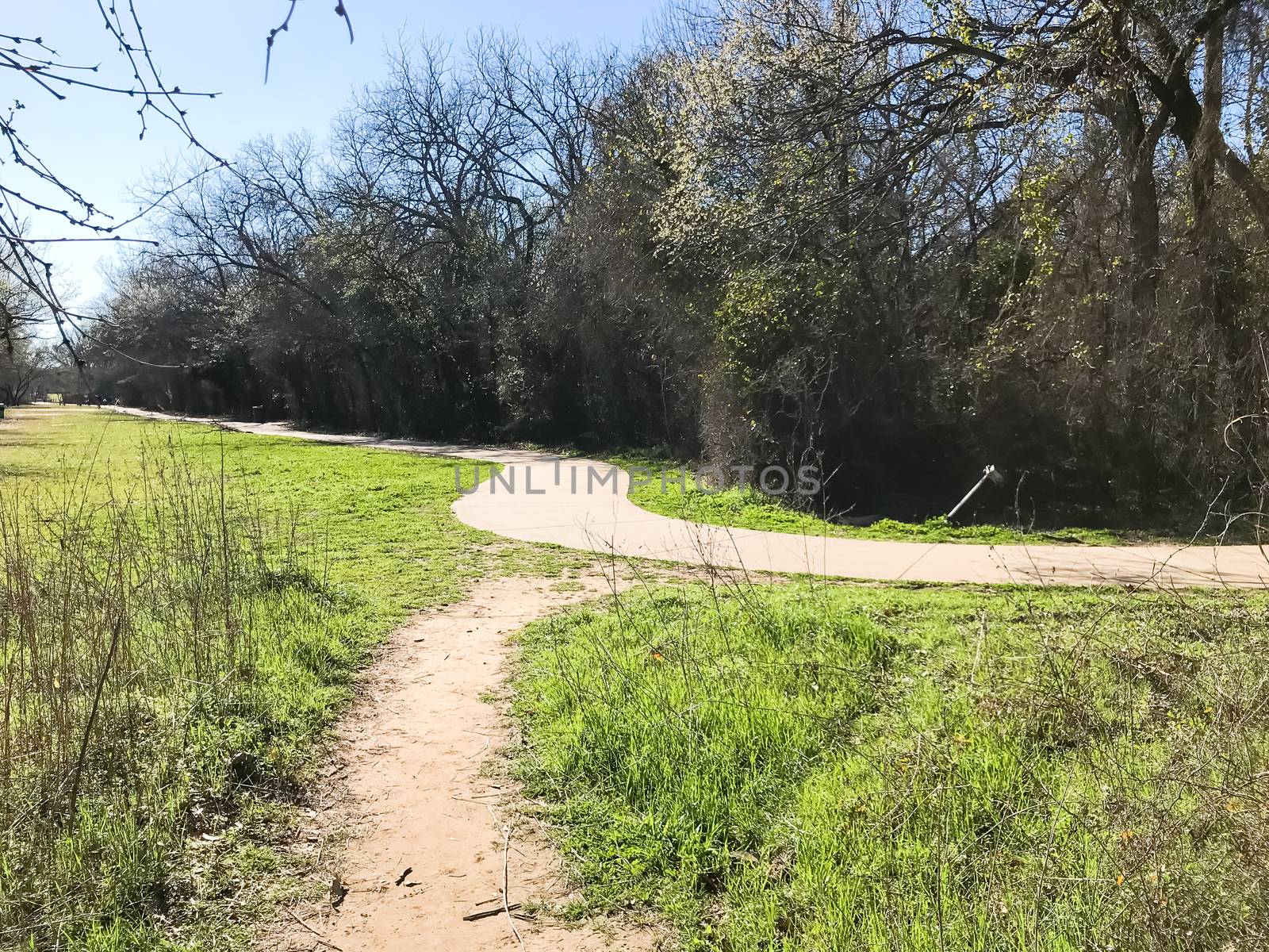 Concrete pathway in natural park near Dallas, Texas, USA in wintertime with bare trees