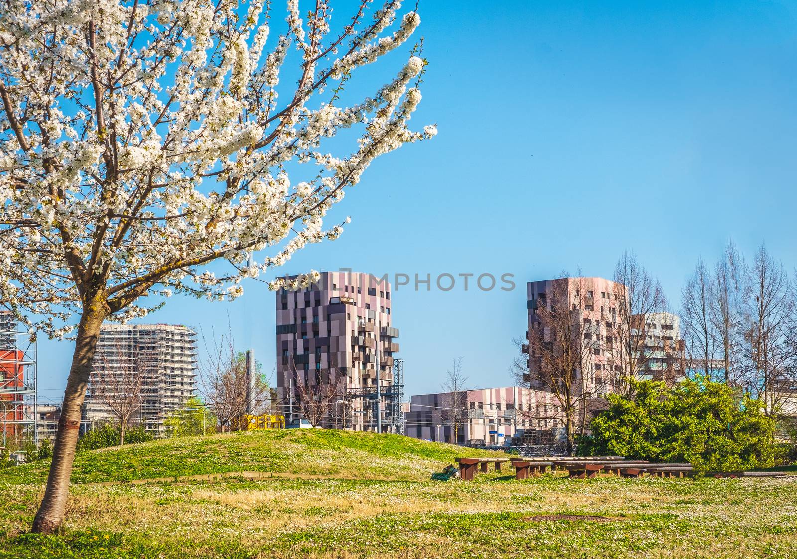 Bologna Quartiere Navile in Italy with Trilogia Navile modern building city park in spring by LucaLorenzelli