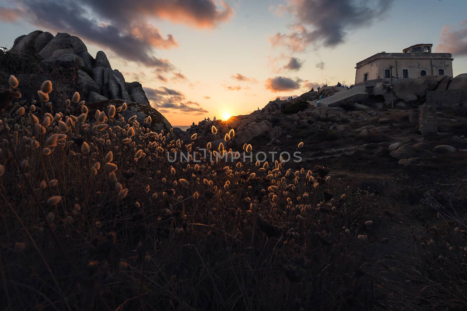 landscape of rocks and thickets backlit by sun by raulmelldo