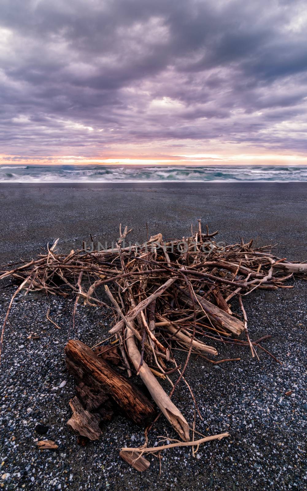 A Pile of Driftwood at a Beach, Trinidad, California, USA
