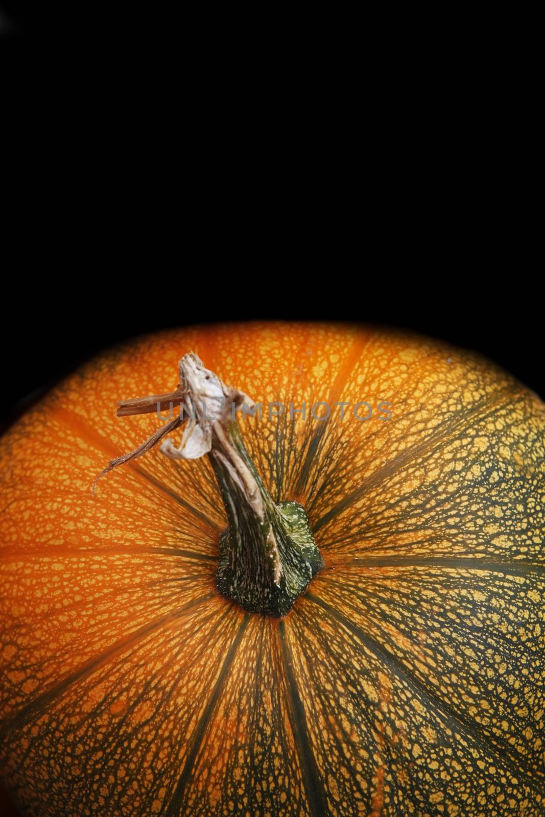 Pumpkin on a black background.