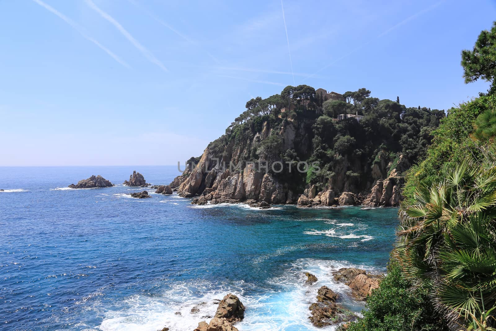 Top view of a rock covered with growing trees and a bay with turquoise water in a deep blue sea on a sunny summer day.