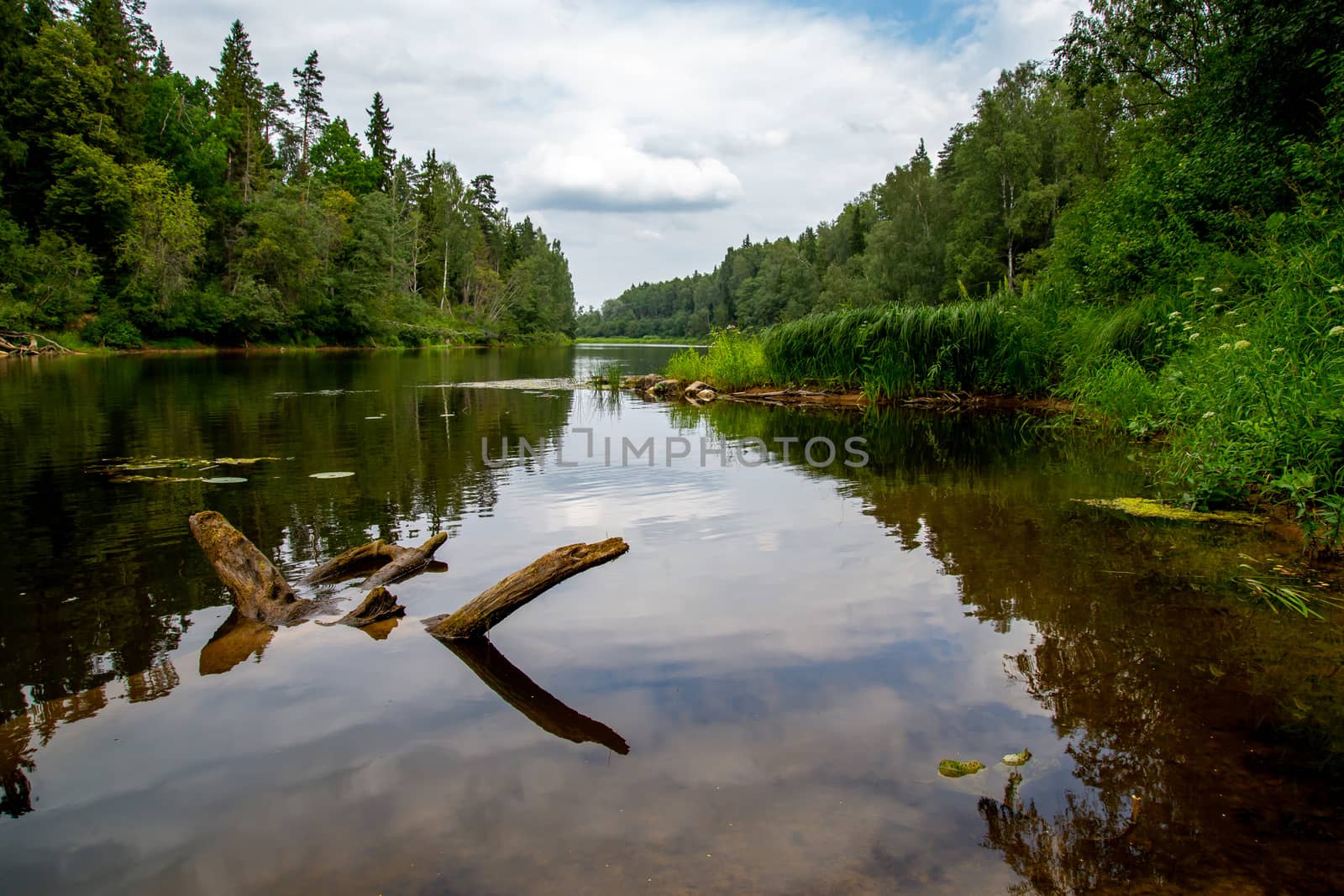 Summer landscape with river, forest and cloudy blue sky. Gauja is the longest river in Latvia, which is located only in the territory of Latvia. 