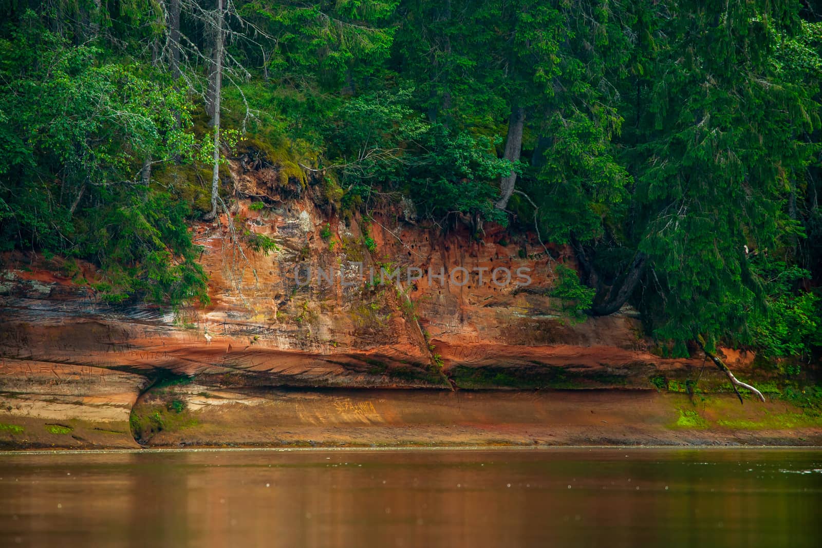 Landscape with river, cliff  and forest in Latvia. by fotorobs