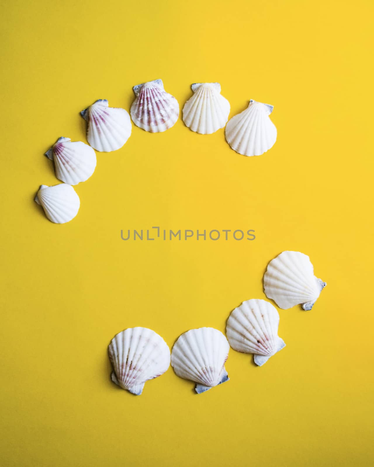 Semicircle of white seashells on yellow background like on vacation