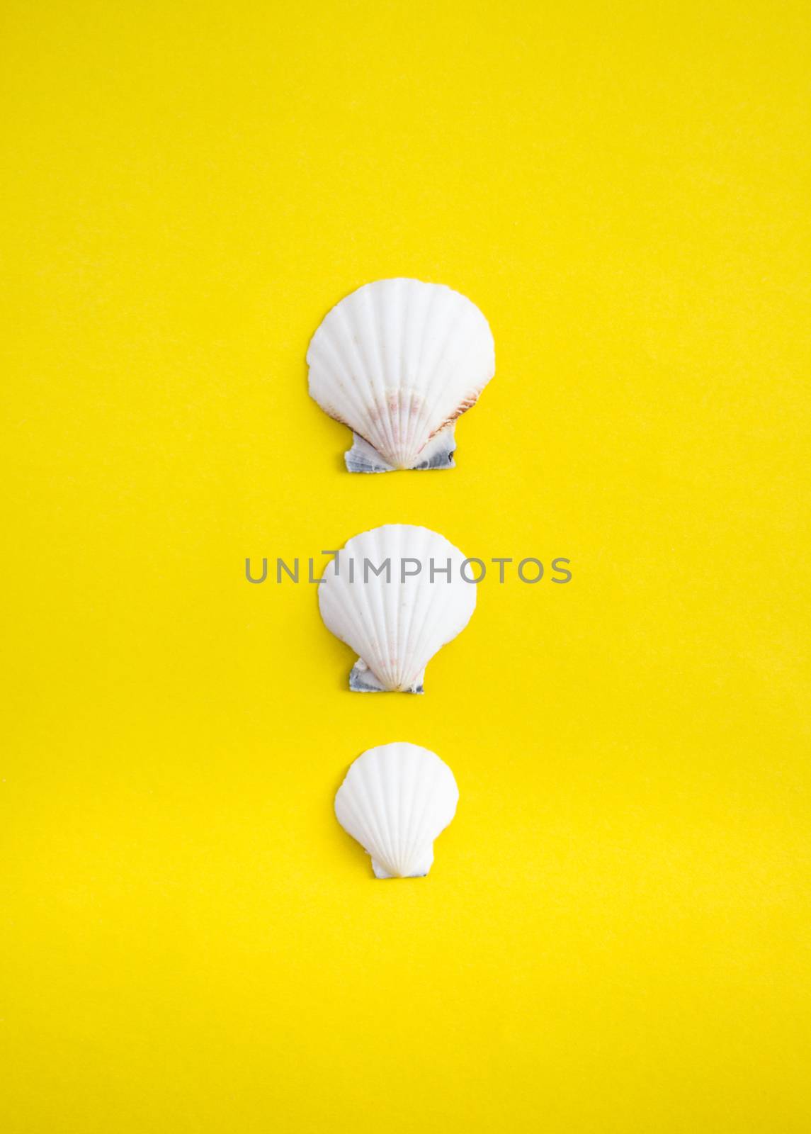 Vertical line of different size of seashells on yellow background