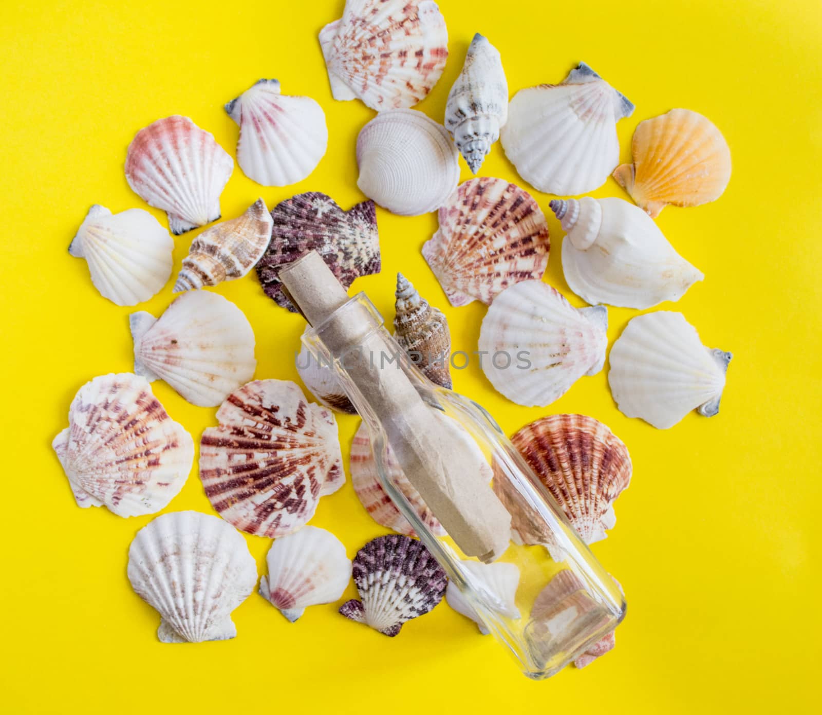 white seashells with message in a glass bottle on yellow background