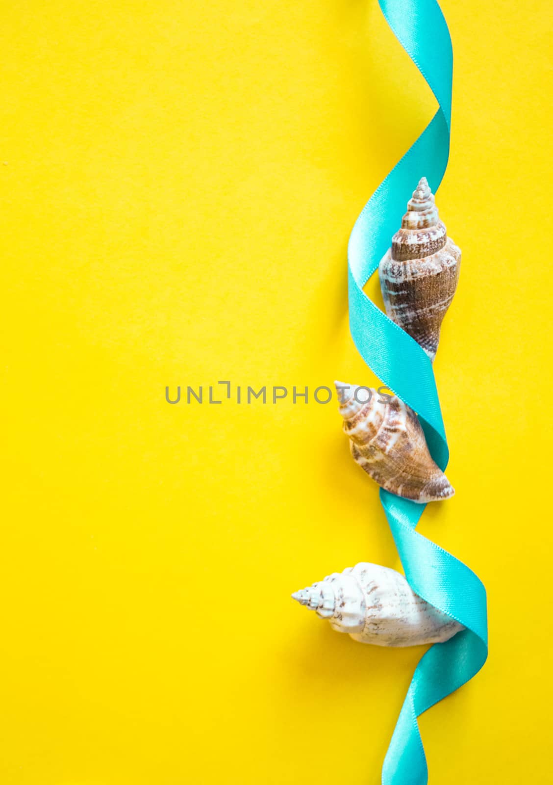 Seashells with light blue ribbon on yellow background like a postcard