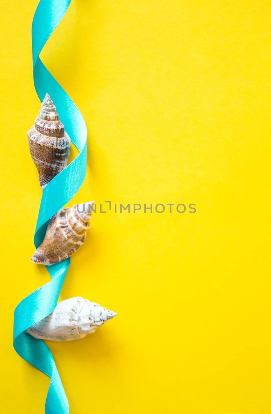 Seashells with light blue ribbon on yellow background by Izumepho