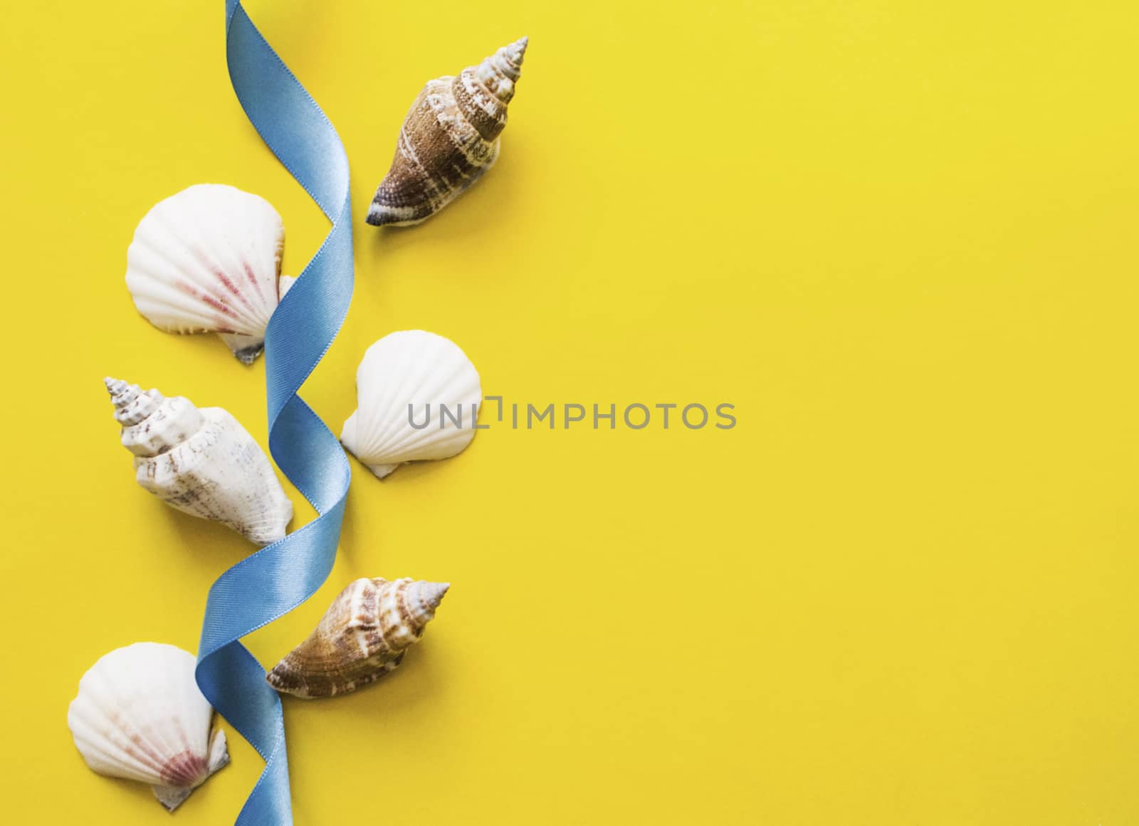 Seashells with light blue ribbon on yellow background by Izumepho