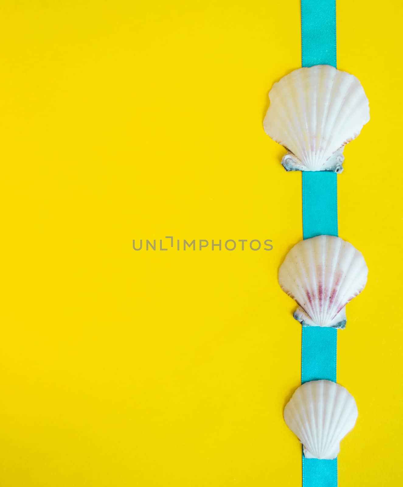 Seashells with light blue ribbon on yellow background like a postcard