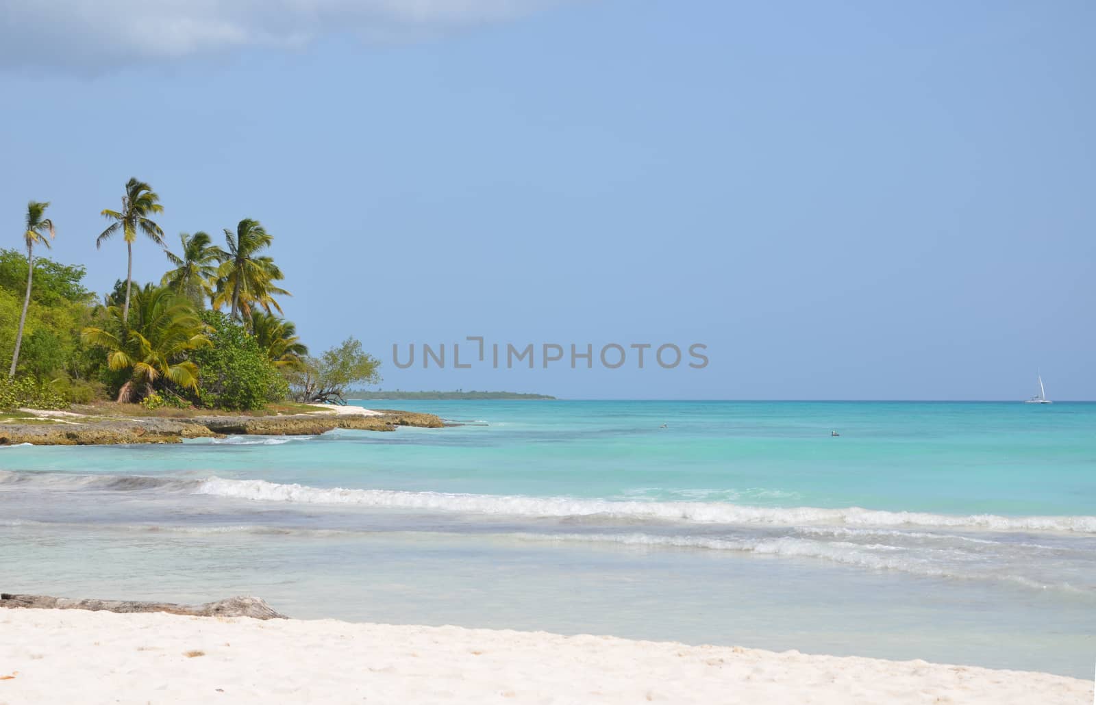 Beautiful tropical beach, palm trees sea - Paradise