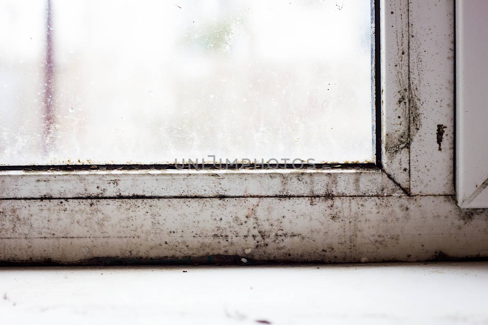 mold on plastic windows, family problem, fungus on windows by kasynets_olena
