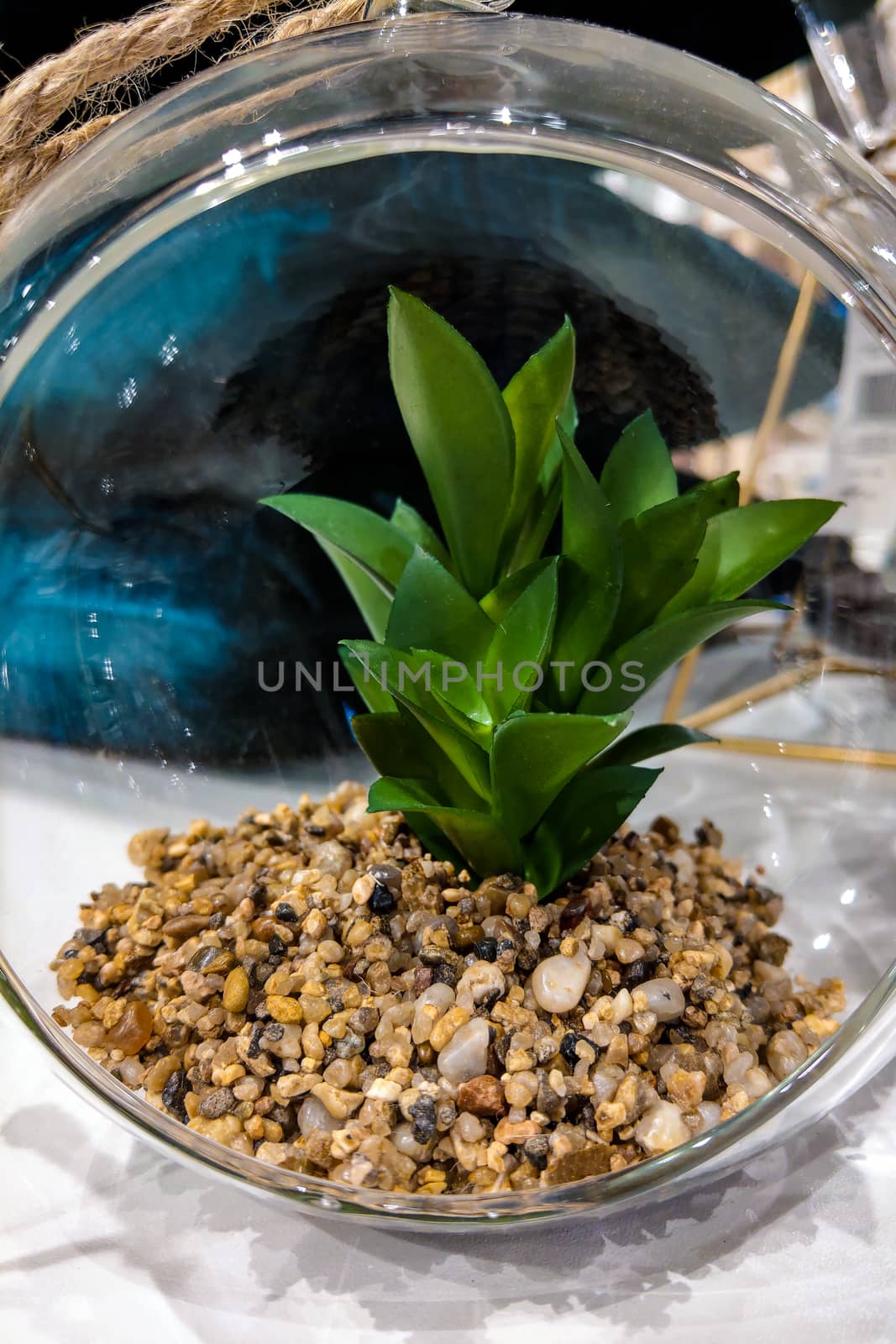 Decorative artificial flower in a transparent ball on a rope