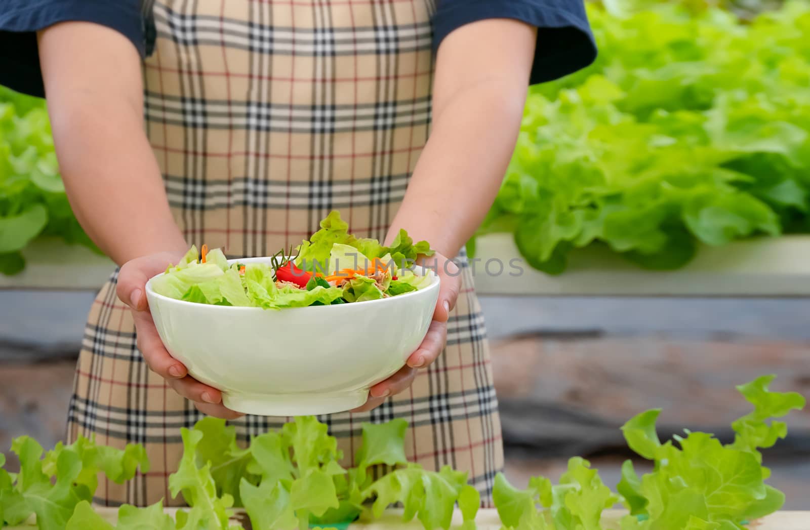 fresh organic salad with tuna in white bowl in farm