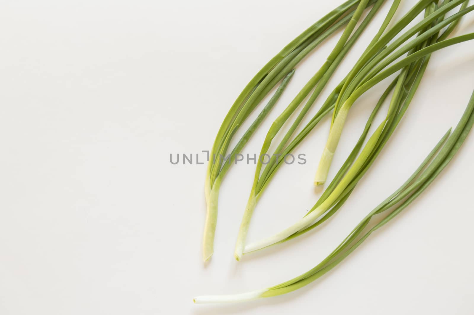 Fresh green onions on white isolated background. A place for your text, a copy of the space, the concept of vegetarian and organic food.