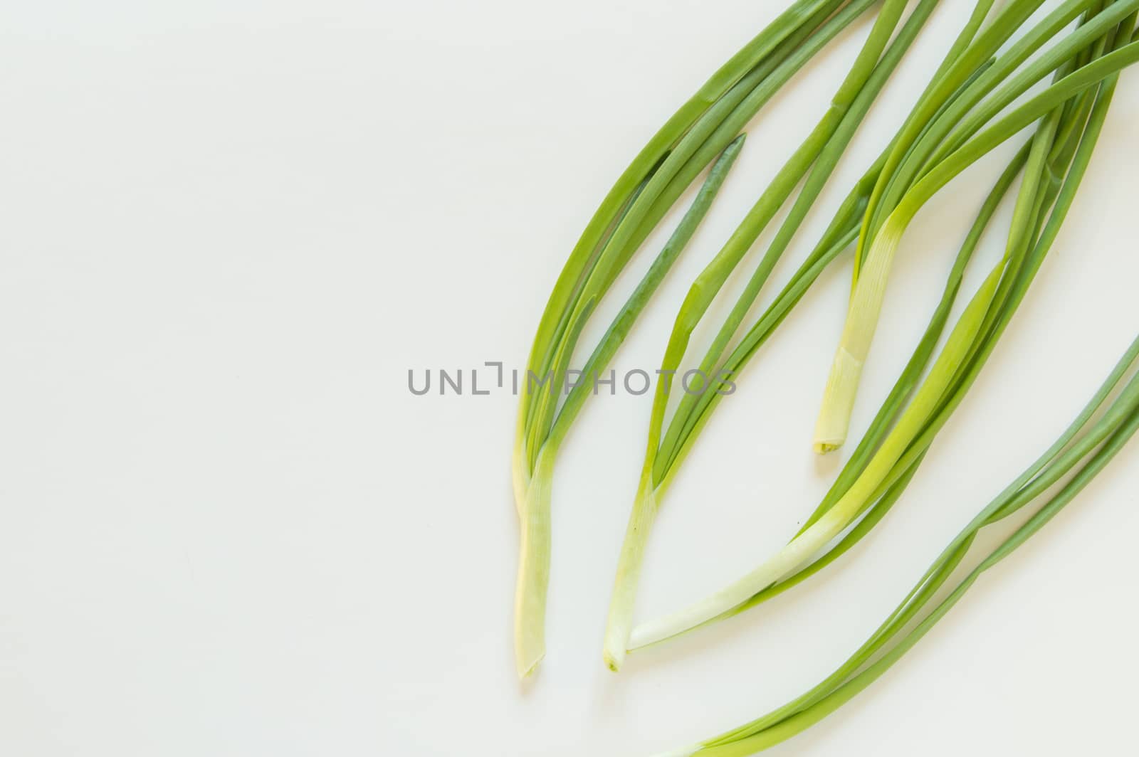 Fresh green onions on white isolated background. A place for your text, a copy of the space, the concept of vegetarian and organic food.