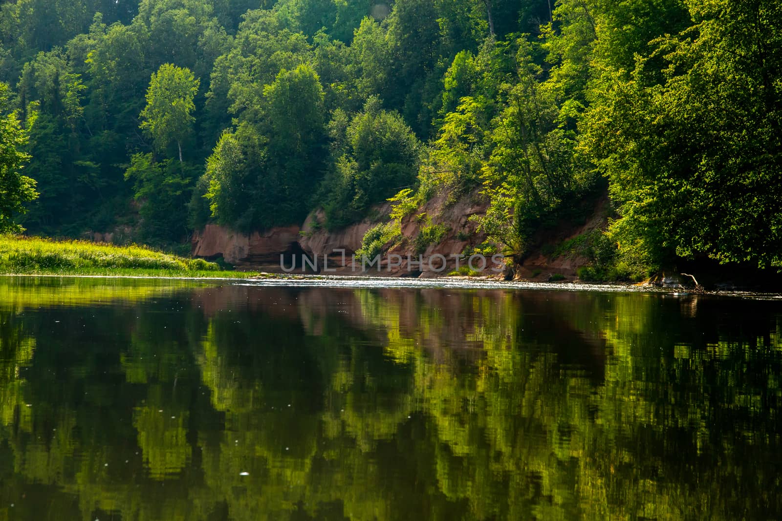 Landscape with cliff near the river Gauja and forest in the background. The Gauja is the longest river in Latvia, which is located only in the territory of Latvia. 


