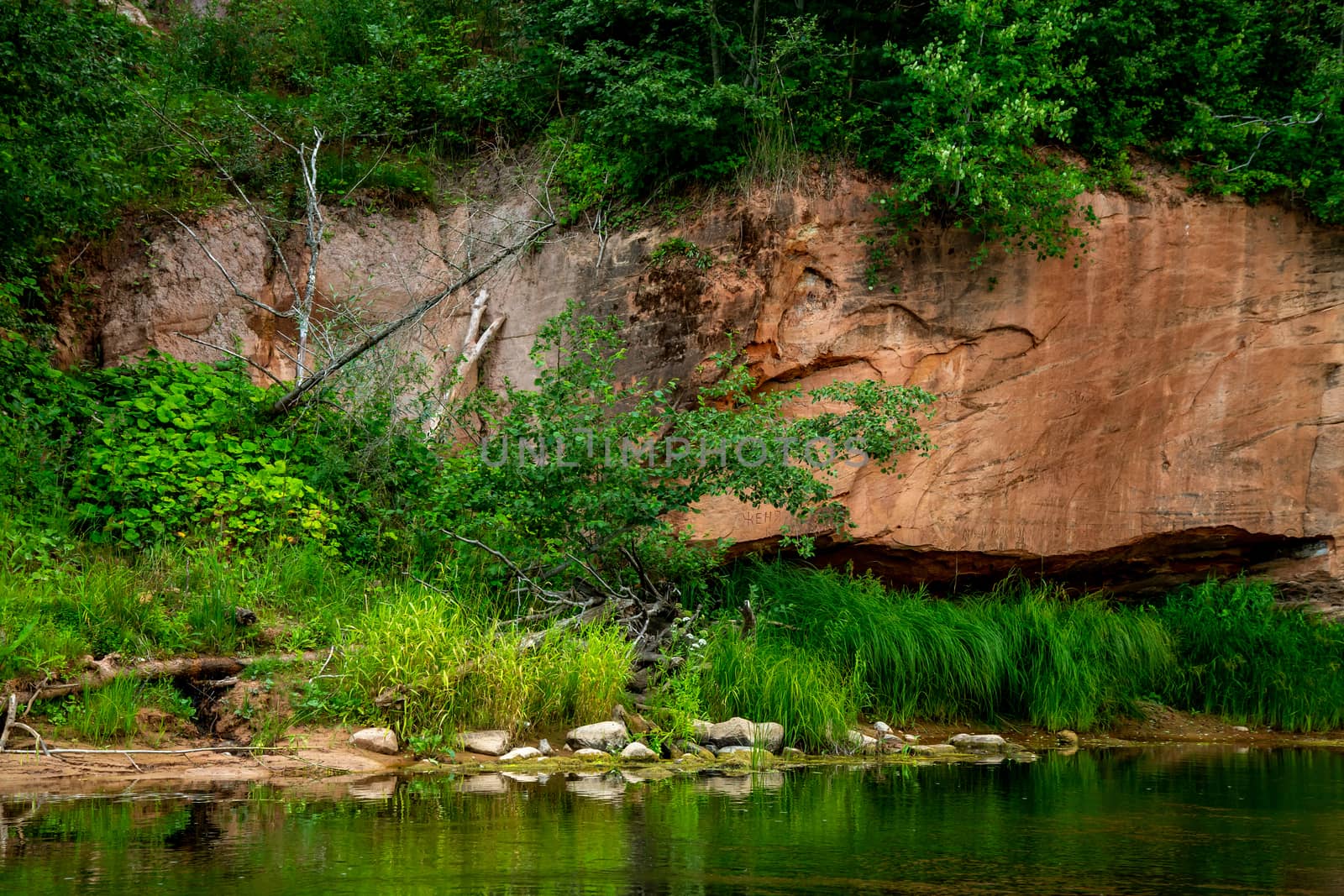 Closeup of sandstone cliff formation with cave on bank of river Gauja in Latvia. The Gauja is the longest river in Latvia, which is located only in the territory of Latvia. 