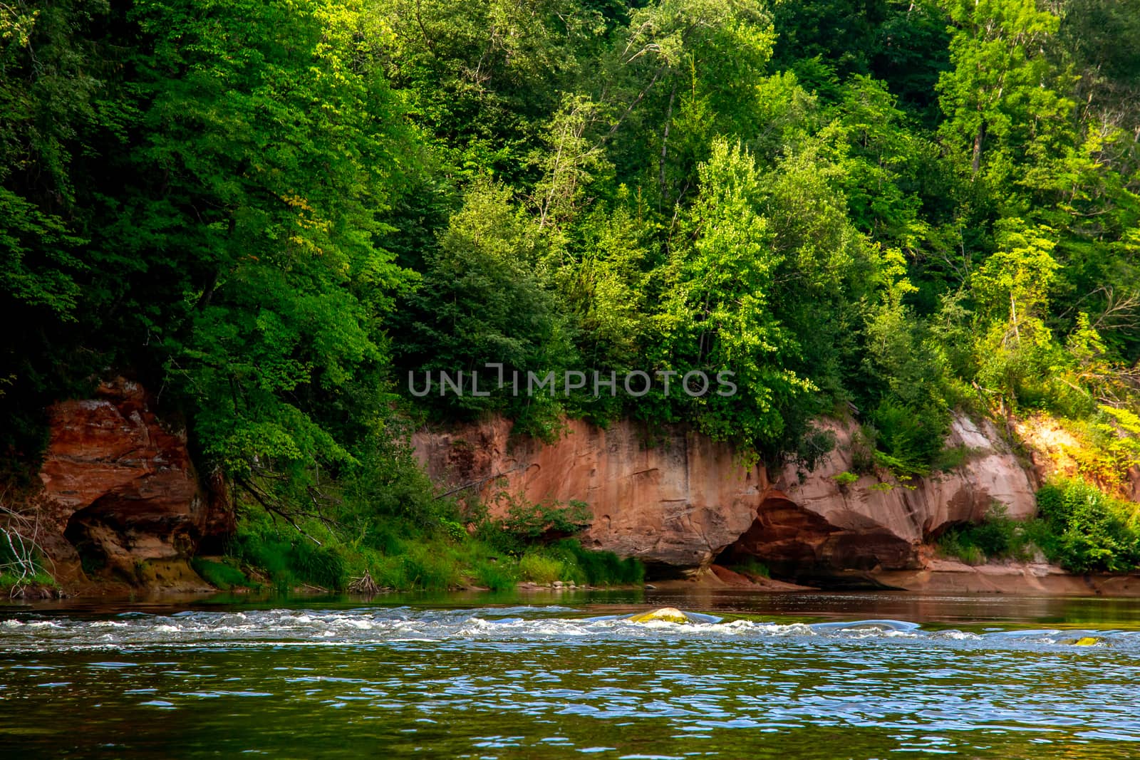 Landscape of cliff with cave near the river Gauja and forest. Gauja is the longest river in Latvia, which is located only in the territory of Latvia. 