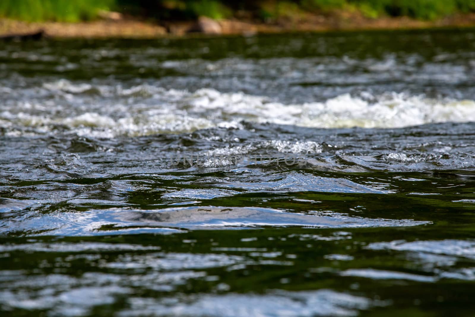 River color and reflections offshore in shallow water in Latvia as background. The Gauja is the longest river in Latvia, which is located only in the territory of Latvia. 

