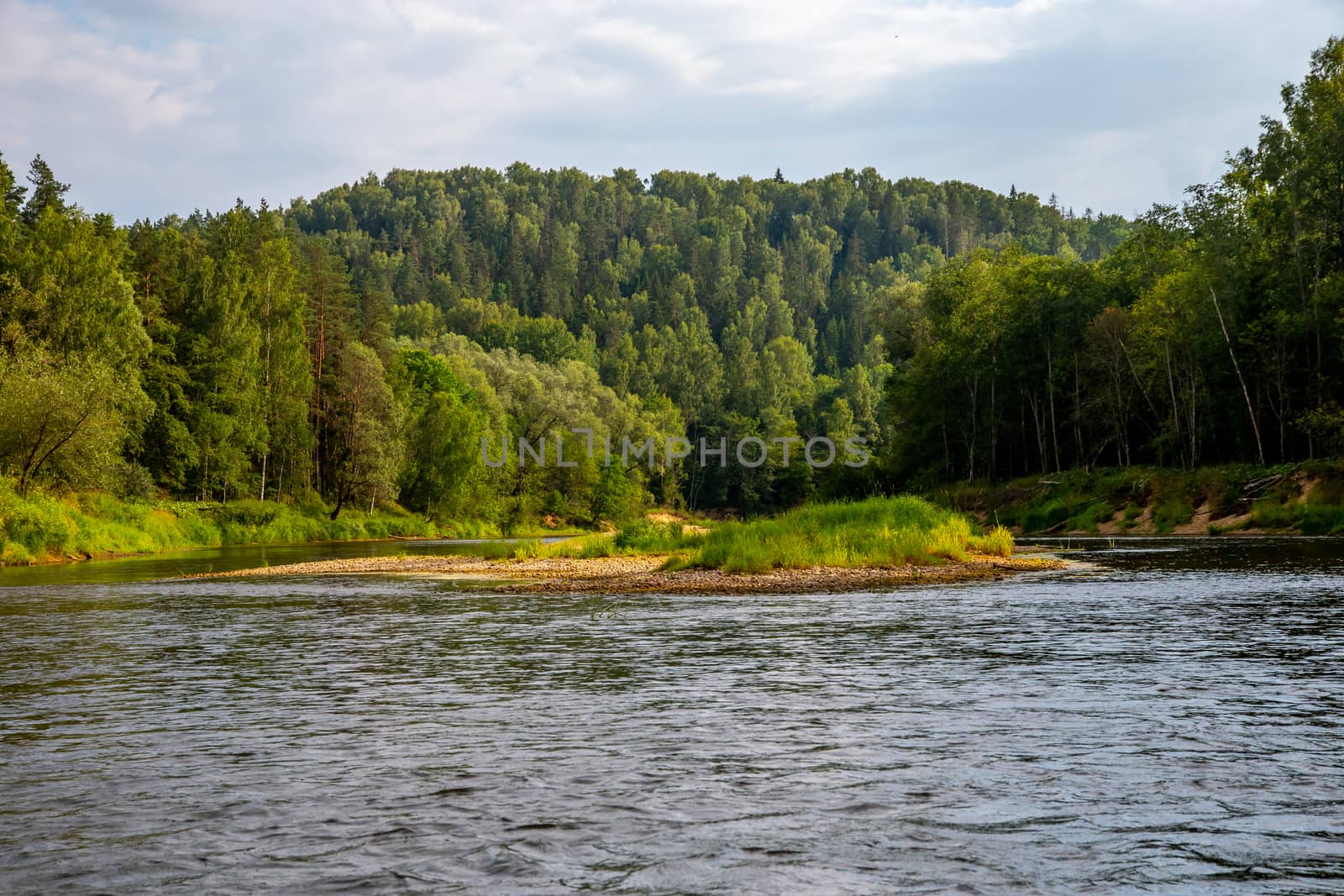 Landscape of river and green forest. by fotorobs