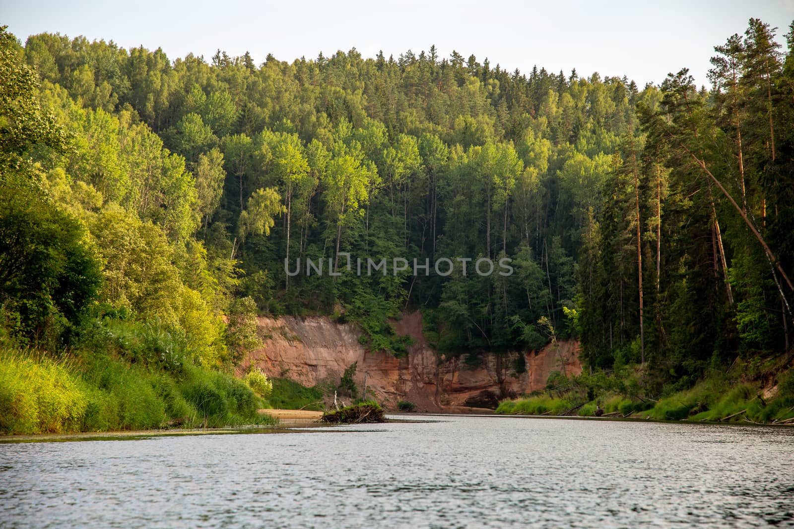 Landscape with cliff, flowing river and green forest in Latvia. Gauja is the longest river in Latvia, which is located only in the territory of Latvia. 