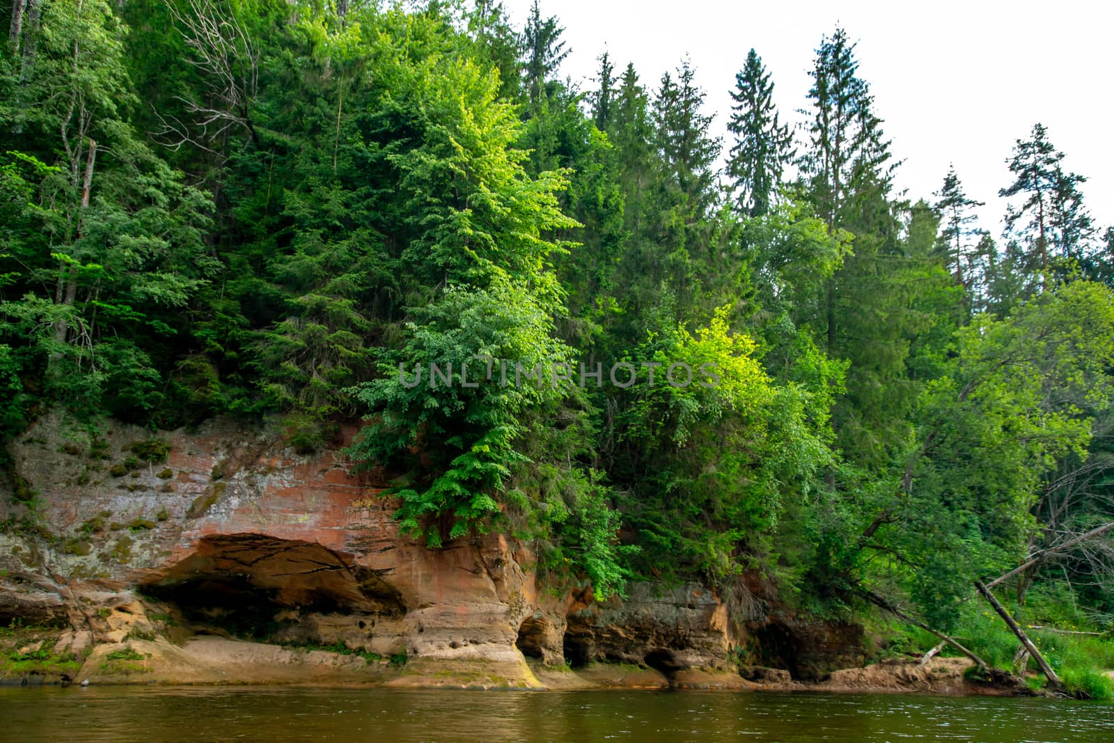 Landscape of cliff with cave near the river Gauja and forest in the background. The Gauja is the longest river in Latvia, which is located only in the territory of Latvia. 

