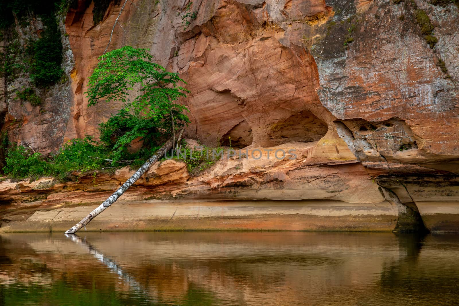 Red sandstone cliff on coast of the river  by fotorobs