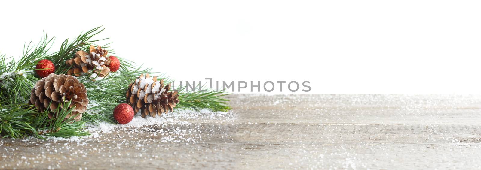 Pine cone and branch by destillat