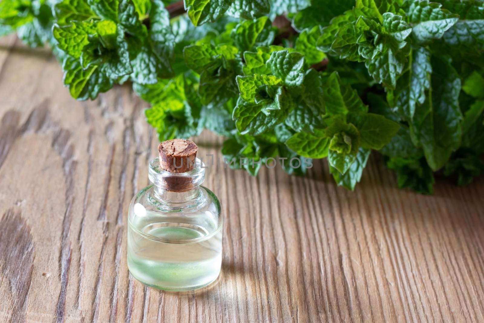A bottle of peppermint essential oil with fresh peppermint twigs by madeleine_steinbach