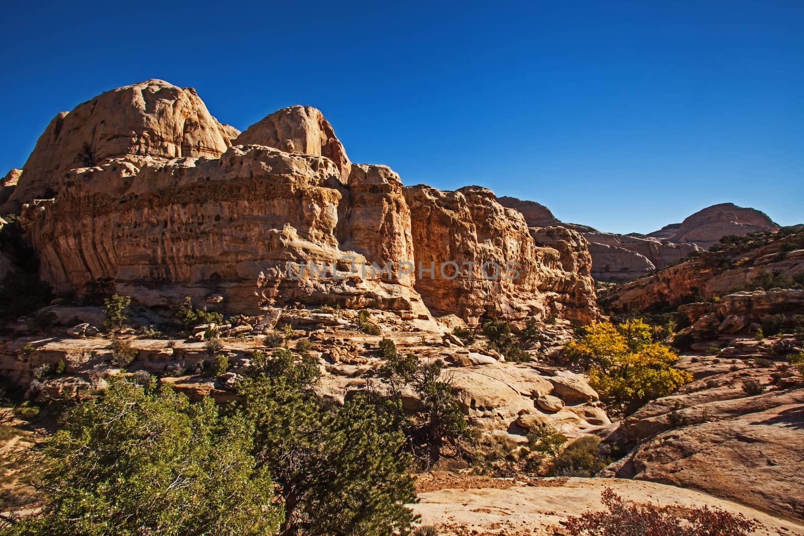 A hiker  admiring the Hickman's Natural Bridge in Capitol Reef National Park. Utah. USA