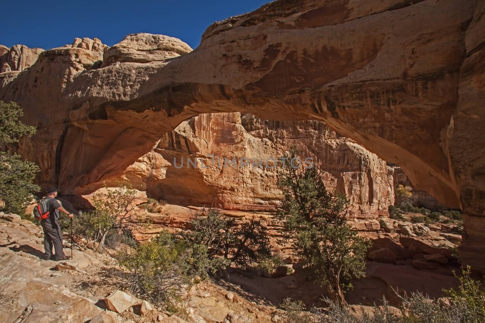 A hiker  admiring the Hickman's Natural Bridge in Capitol Reef National Park. Utah. USA