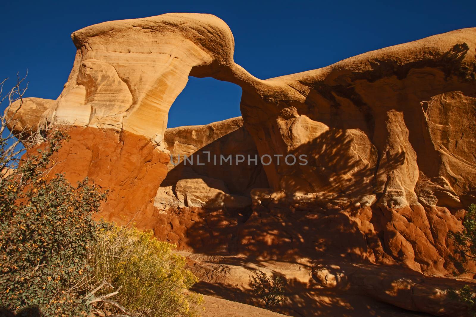 Strange Rock Formations in The Devil's Garden near the town of Escalante in the Staircase Escalante National Monument in Utah. USA