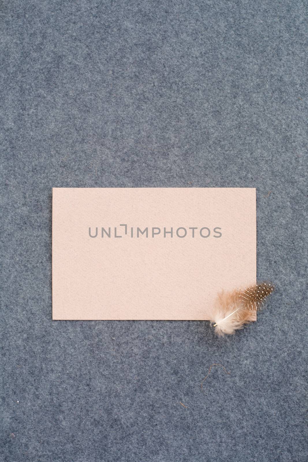 Minimalistic paper easter greeting card and spotted feather on gray textile background