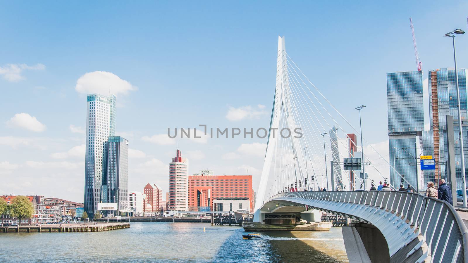 The Erasmus bridge, cable-stayed bridge in the center of Rotterdam