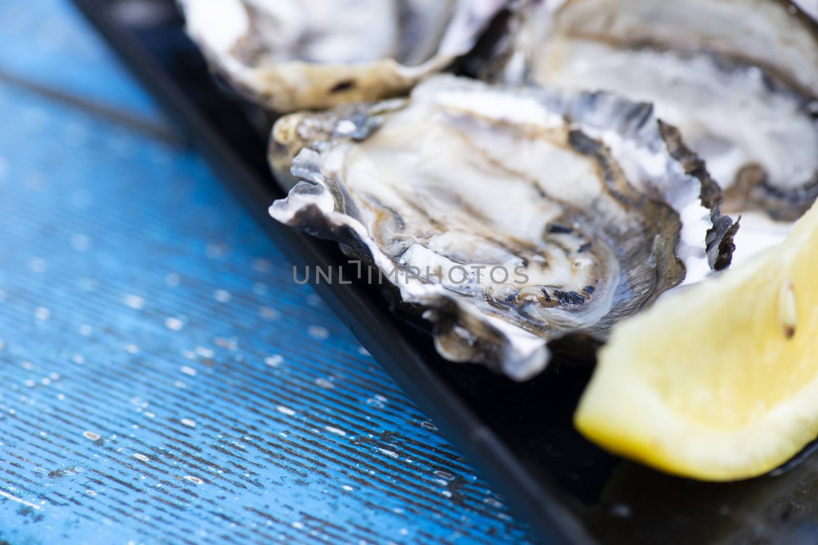 Closeup of large fresh shucked oysters with a blue background.