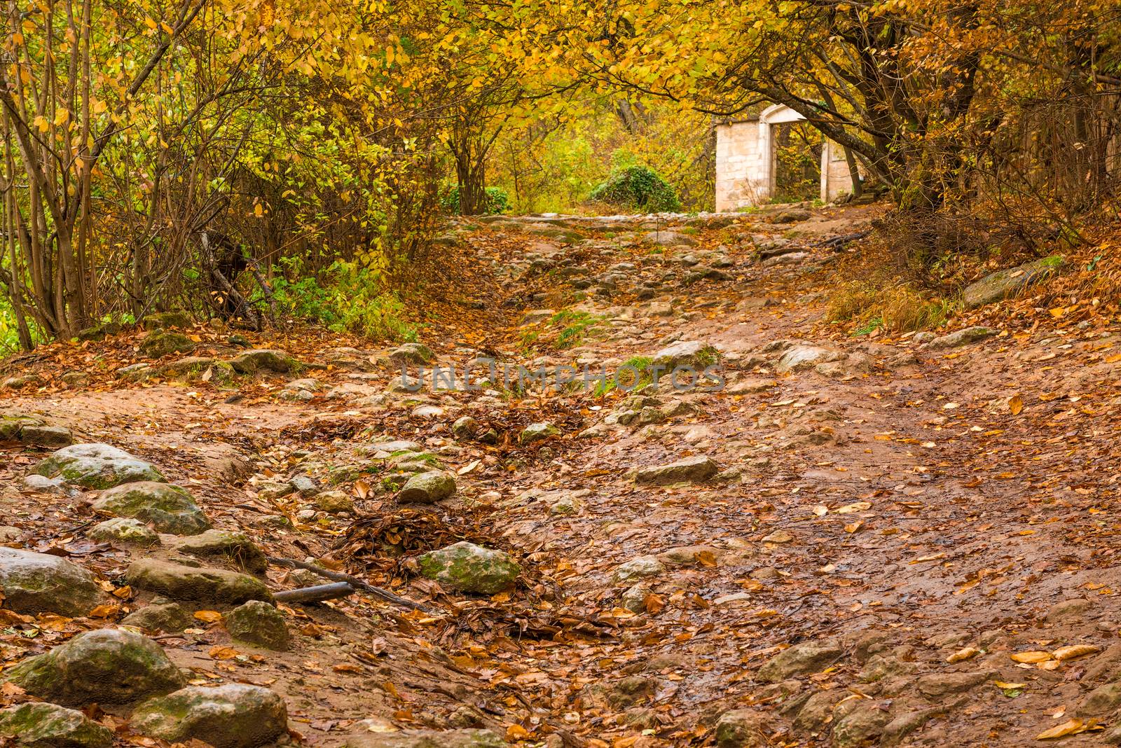 A stony path leading uphill in the autumn rainy empty park by kosmsos111